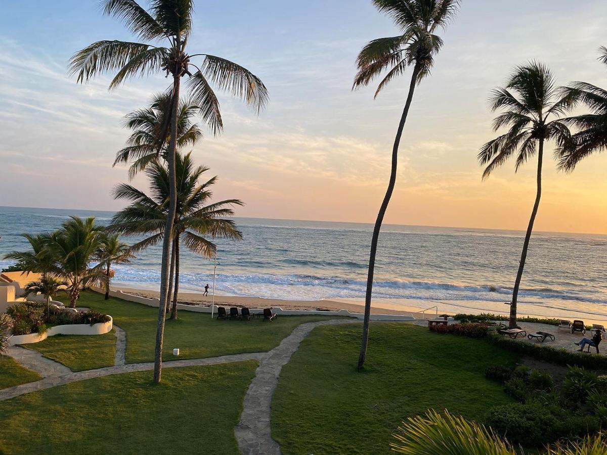 Cabarete Beachfront Condos At Nanny Estate C-5 מראה חיצוני תמונה
