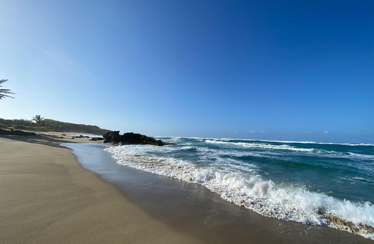 Cabarete Beachfront Condos At Nanny Estate C-5 מראה חיצוני תמונה
