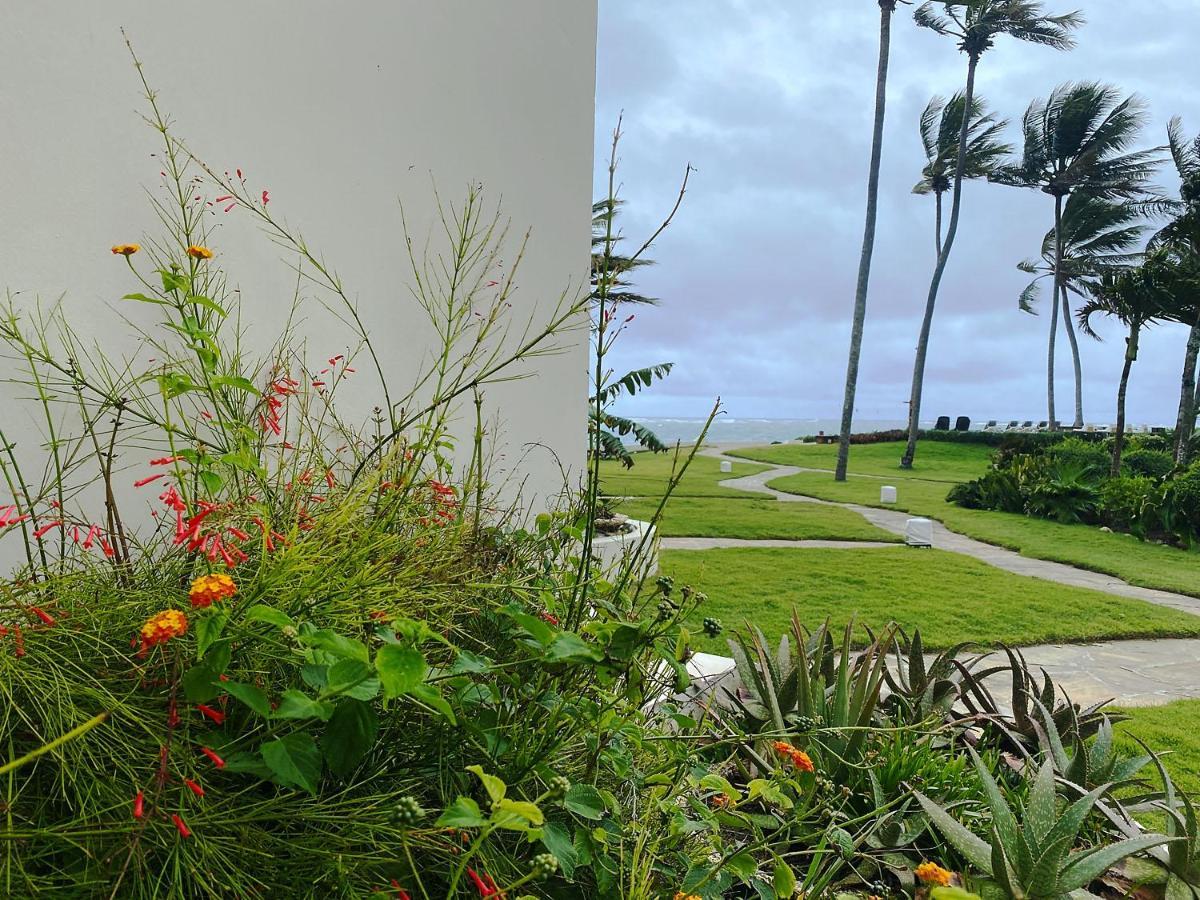 Cabarete Beachfront Condos At Nanny Estate C-5 מראה חיצוני תמונה